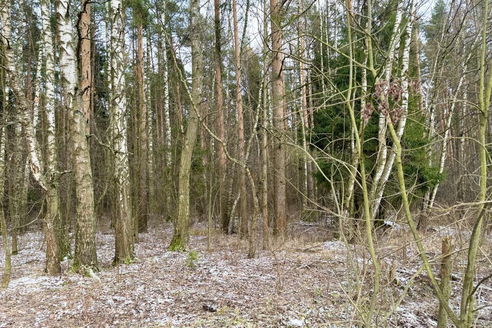 земля городской округ Раменский СНТ Стриж фото 8