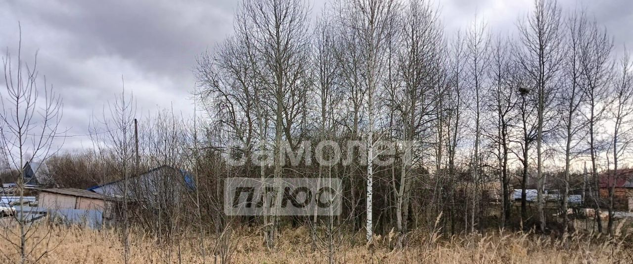 земля г Томск ст Копылово ул Новая р-н Октябрьский ж д_рзд фото 4