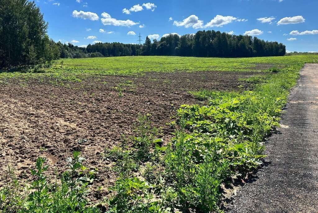 земля городской округ Дмитровский коттеджный поселок «Сорочаны» городской округ Клин фото 3