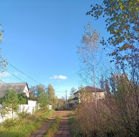 снт Березка-4 фото