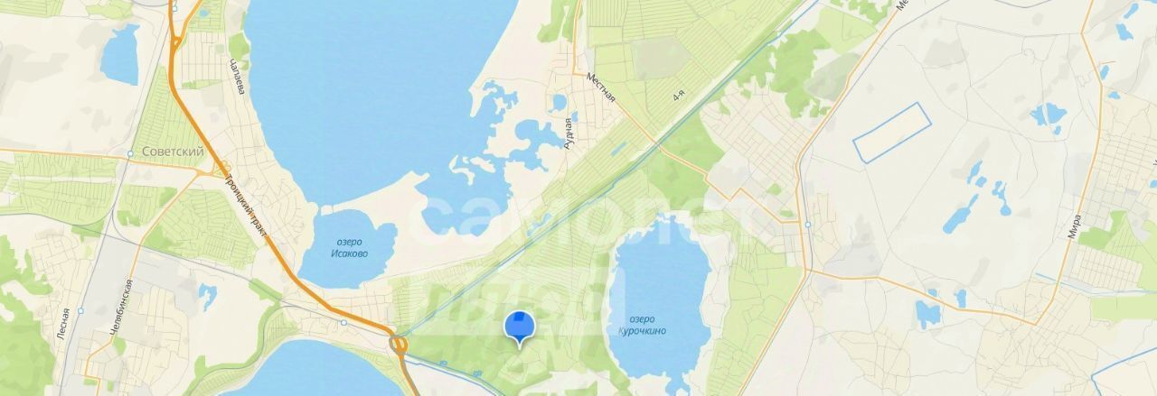 земля г Копейск снт Березка-4 фото 7