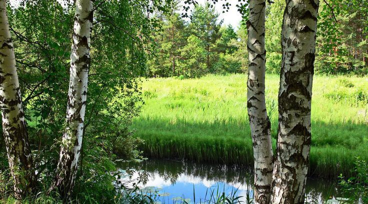 дом городской округ Одинцовский д Бузаево Одинцово фото 1