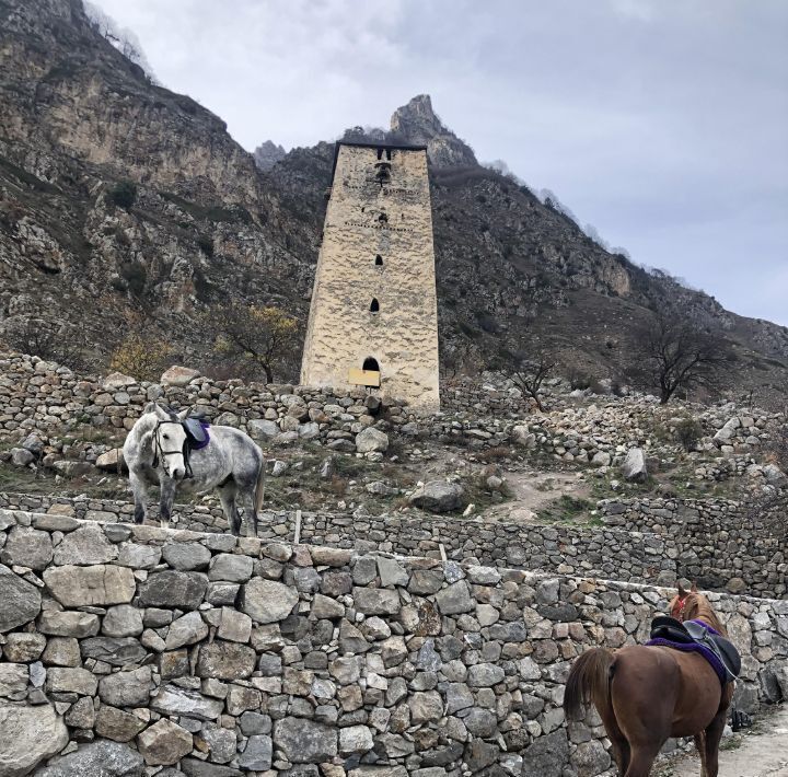 комната р-н Черекский с Верхняя Балкария ул Учительская 7 фото 12