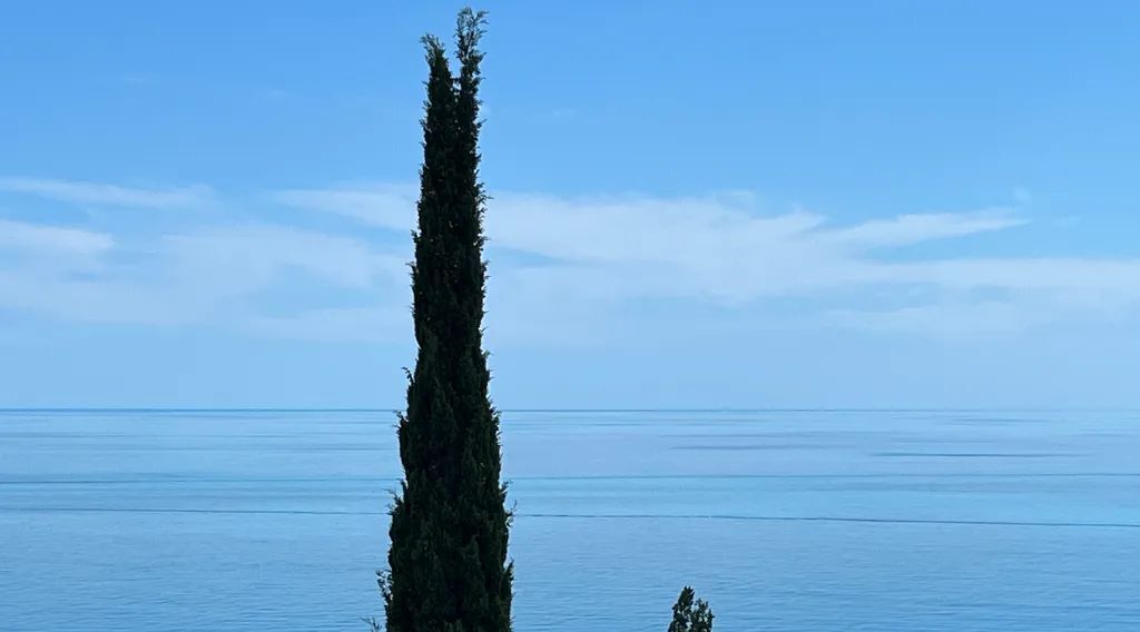 комната г Ялта пгт Кореиз ш Алупкинское 28 фото 16