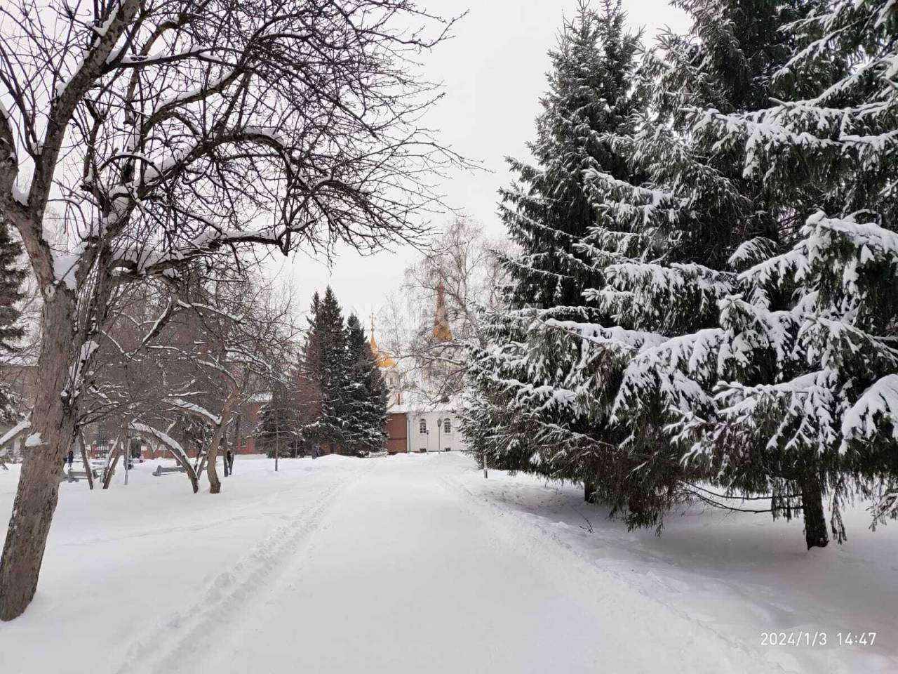 квартира г Новосибирск р-н Железнодорожный ул 1905 года 85 Гагаринская фото 15