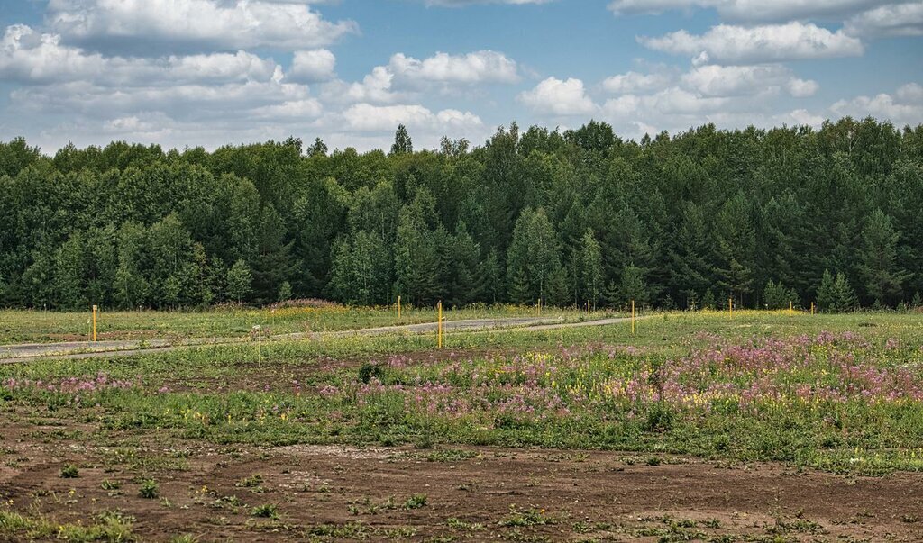 земля р-н Зерноградский г Зерноград ул им Дзержинского фото 1