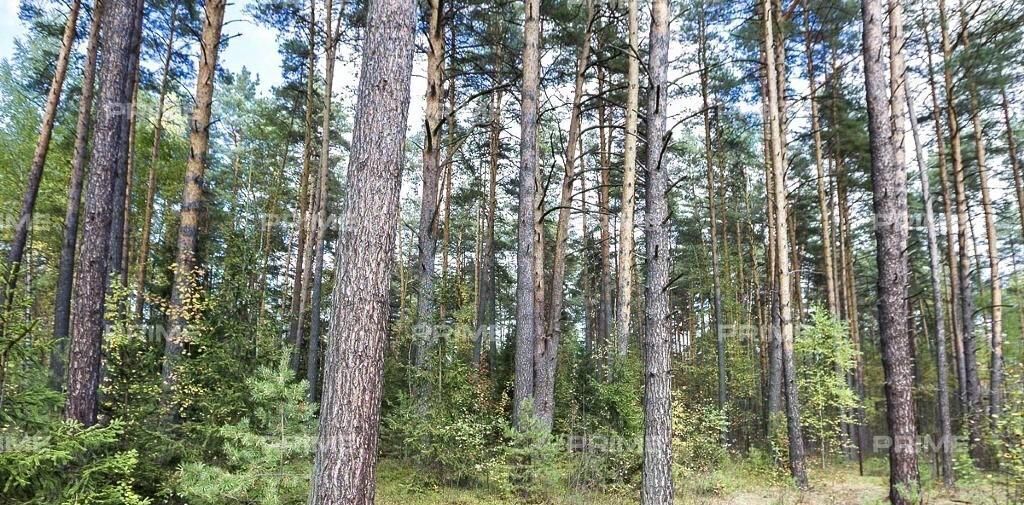 земля городской округ Истра д Чесноково Резиденции Бенилюкс кп, Нахабино фото 3