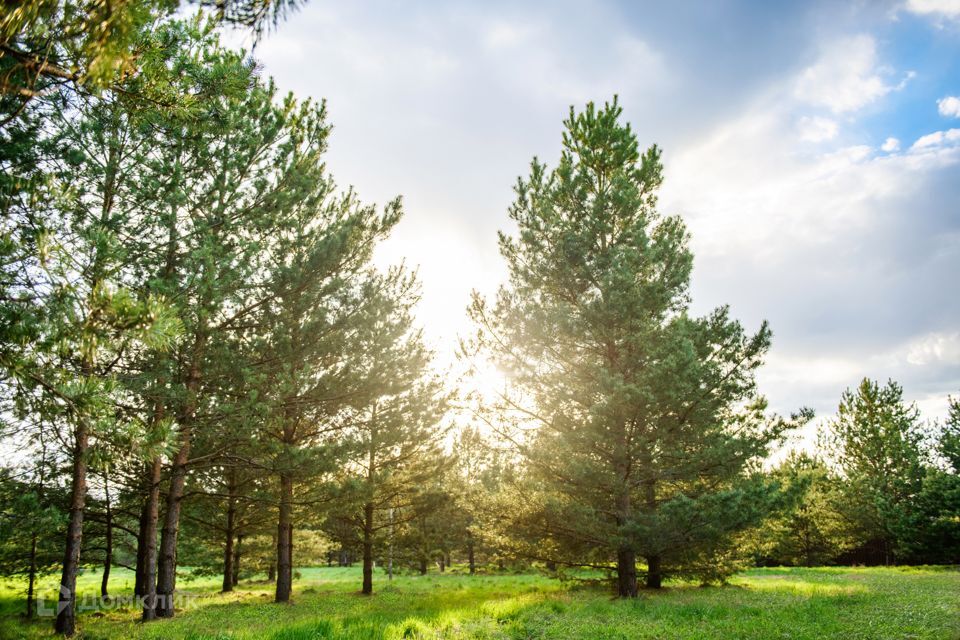 земля городской округ Ступино д Бекетово Коттеджный посёлок Green Park 2 фото 9