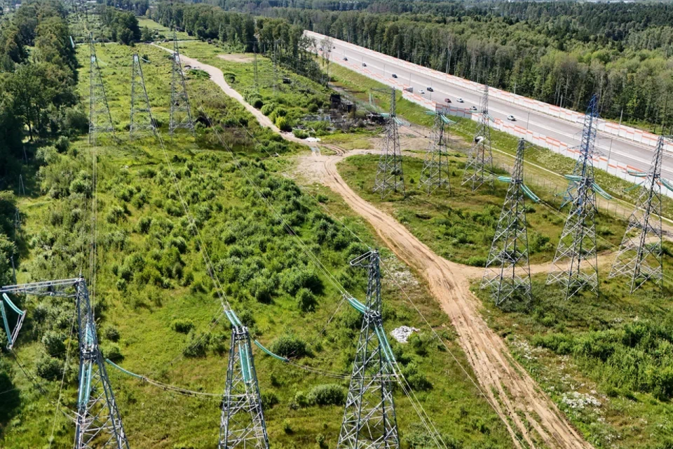 земля Электросталь городской округ, СНТ Восточное фото 8