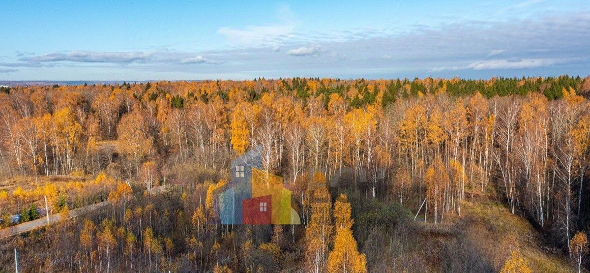 земля городской округ Дмитровский Голиково, 17, Деденево фото 5