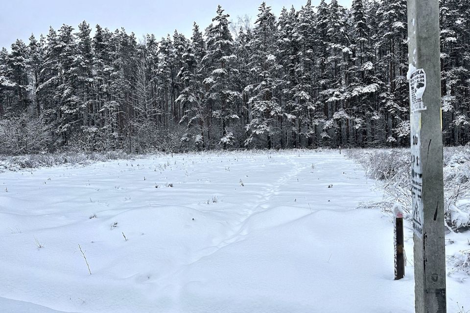 земля городской округ Домодедово Поливаново фото 6