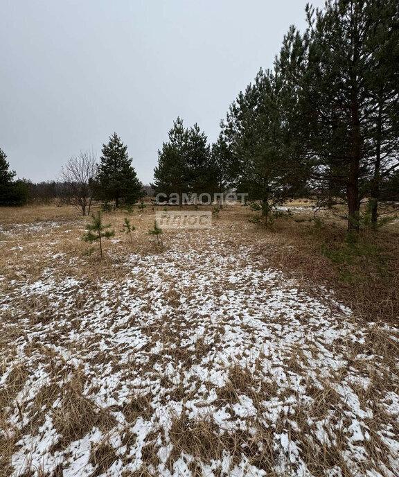 земля городской округ Орехово-Зуевский д Радованье фото 1