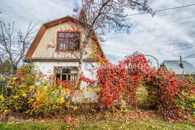 Тюмень городской округ, СО Дружба, Кирпичная улица фото