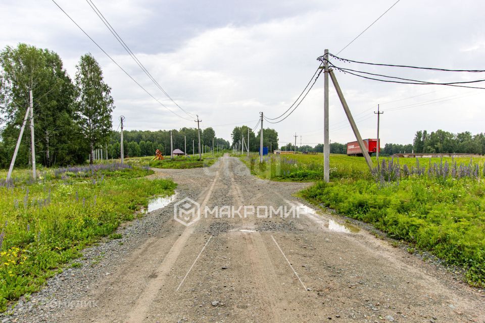 земля р-н Новосибирский 90 фото 10