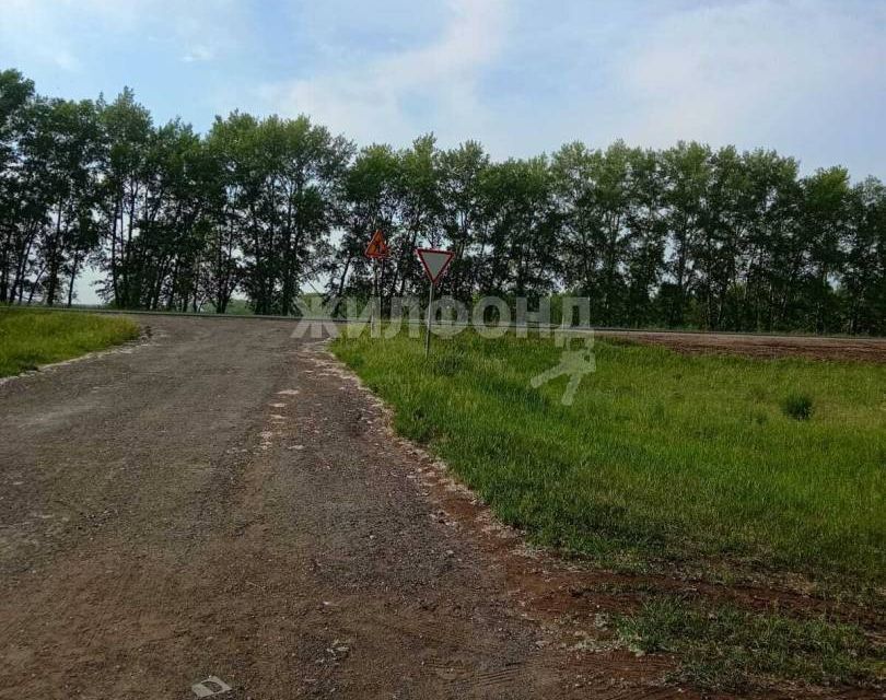 земля р-н Ордынский с Вагайцево Южная фото 2