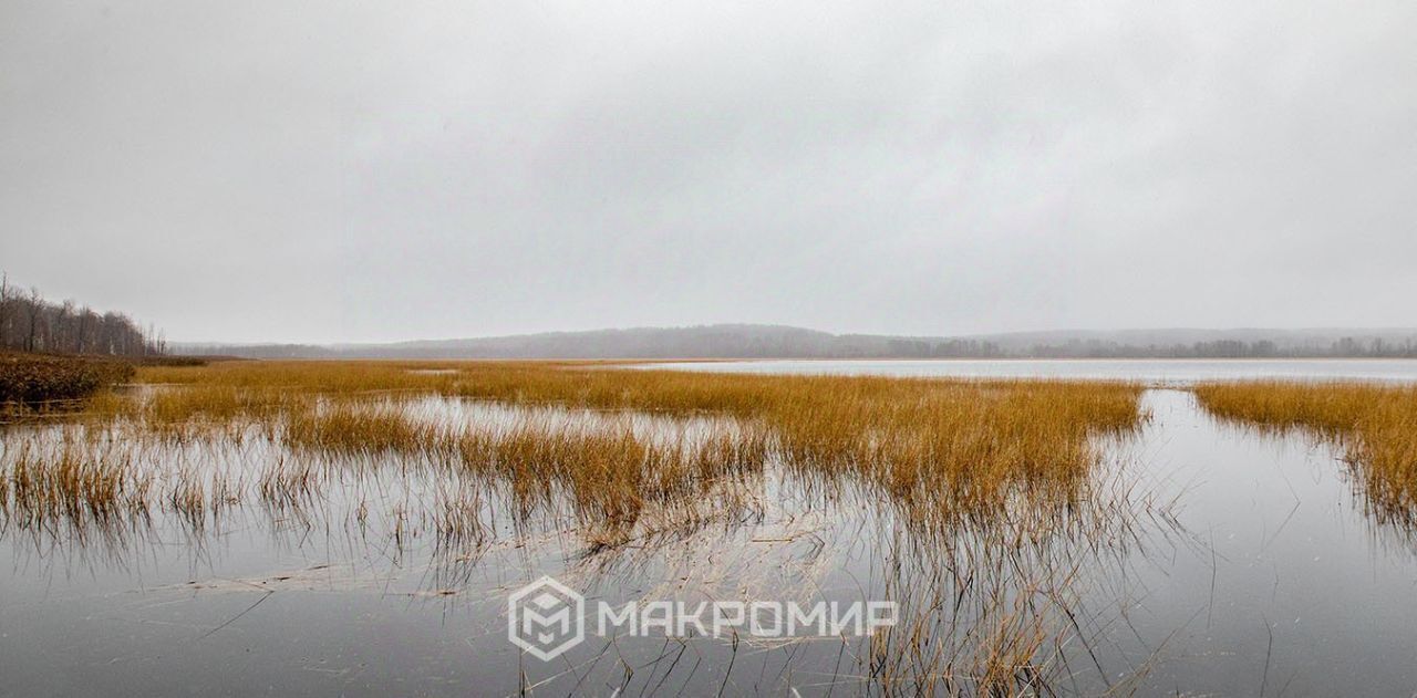 земля р-н Выборгский п Волочаевка Рощинское городское поселение фото 6