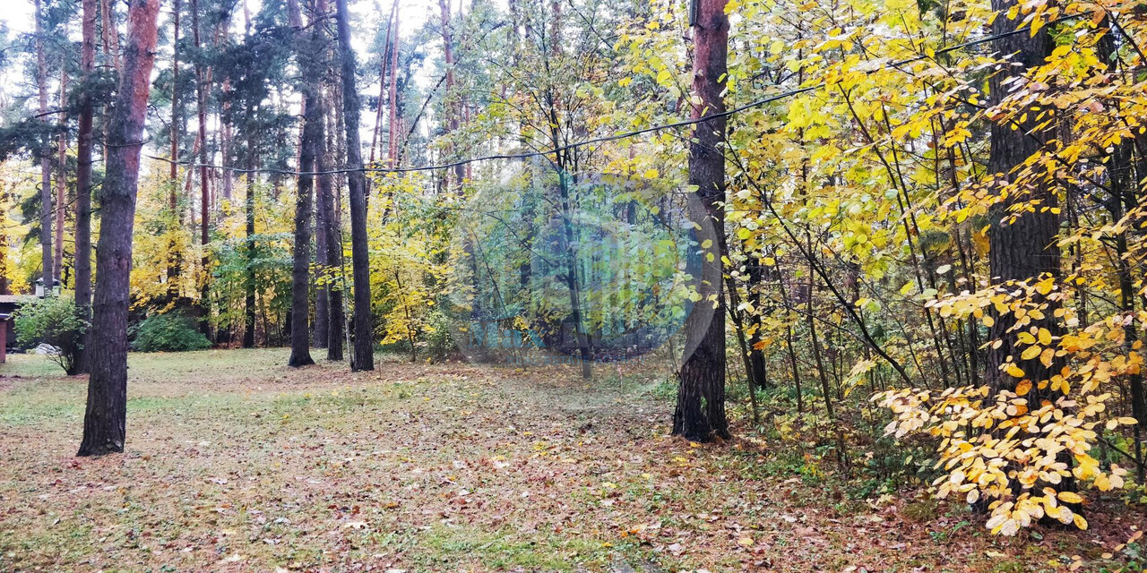 земля городской округ Ленинский д Жабкино ул Лесная фото 1