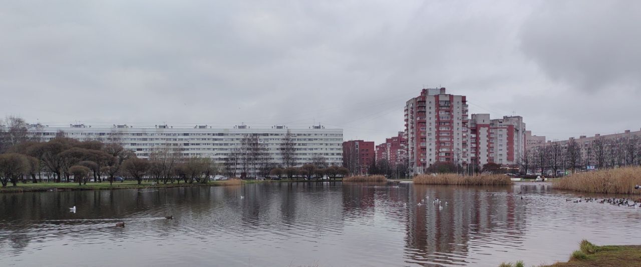 квартира г Санкт-Петербург метро Гражданский Проспект пр-кт Светлановский 115к/1 фото 16