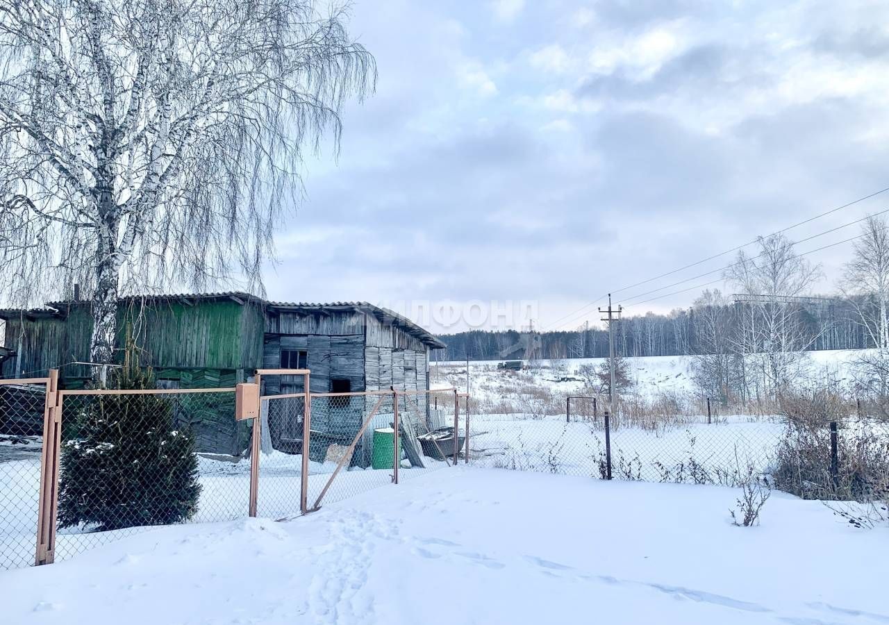 дом р-н Новосибирский с Барышево ул Овражная Барышевский сельсовет фото 14