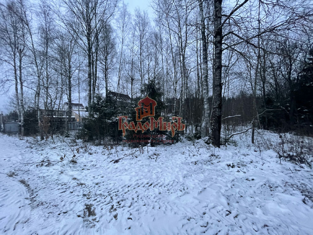 земля городской округ Сергиево-Посадский д Новожёлтиково фото 8