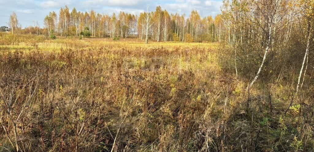 земля городской округ Ступино с Ивановское фото 6