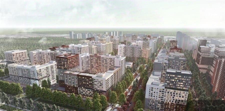 квартира г Воронеж р-н Центральный ул Загоровского 9/1 фото 4