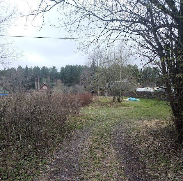 земля р-н Лужский Толмачево городской поселок, Балтийская, ул. Прохорова фото 3