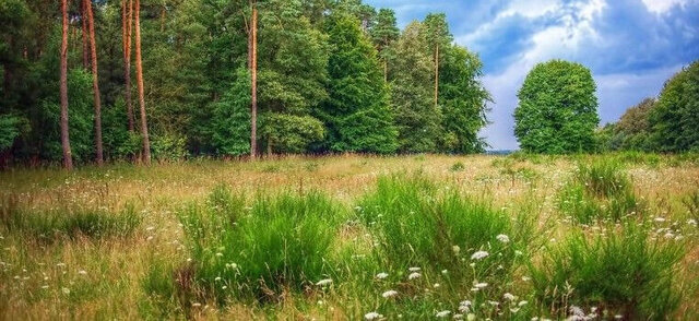 земля городской округ Одинцовский Одинцово, коттеджный посёлок Горки-8 фото