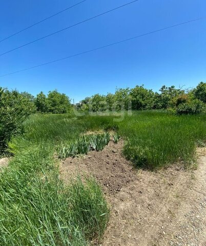 р-н Кочубеевский СНТ Сельские Зори, Крыжовниковая улица фото