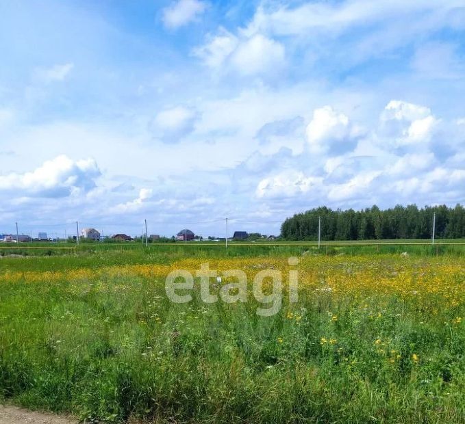 земля р-н Новосибирский с Марусино мкр Благое Криводановский сельсовет фото 2