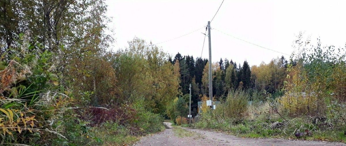 земля р-н Выборгский снт Березовая Долина Советское городское поселение фото 1