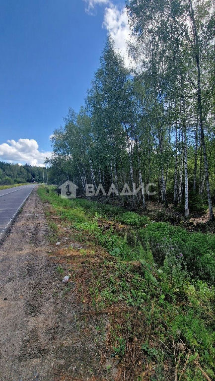 земля городской округ Истра с Онуфриево Онуфриево с. Новая ул., 10 фото 3