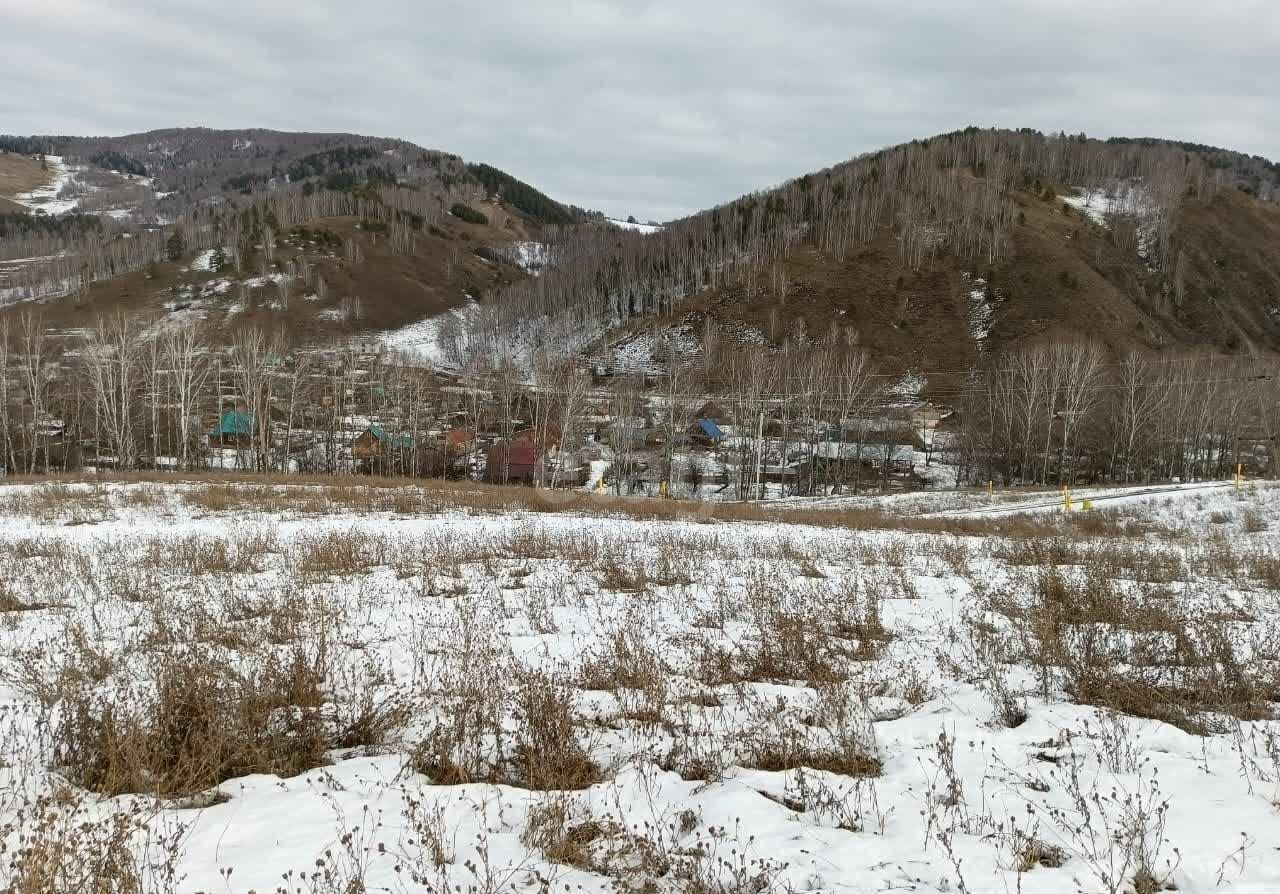 земля р-н Майминский с Бирюля Горно-Алтайск фото 2