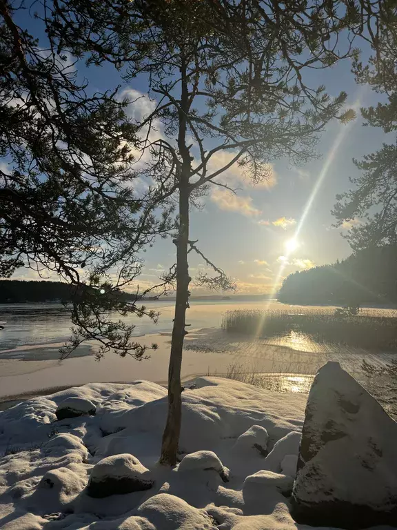 дом г Сортавала Хаапалампинское сельское поселение, - улица, 43 фото 122