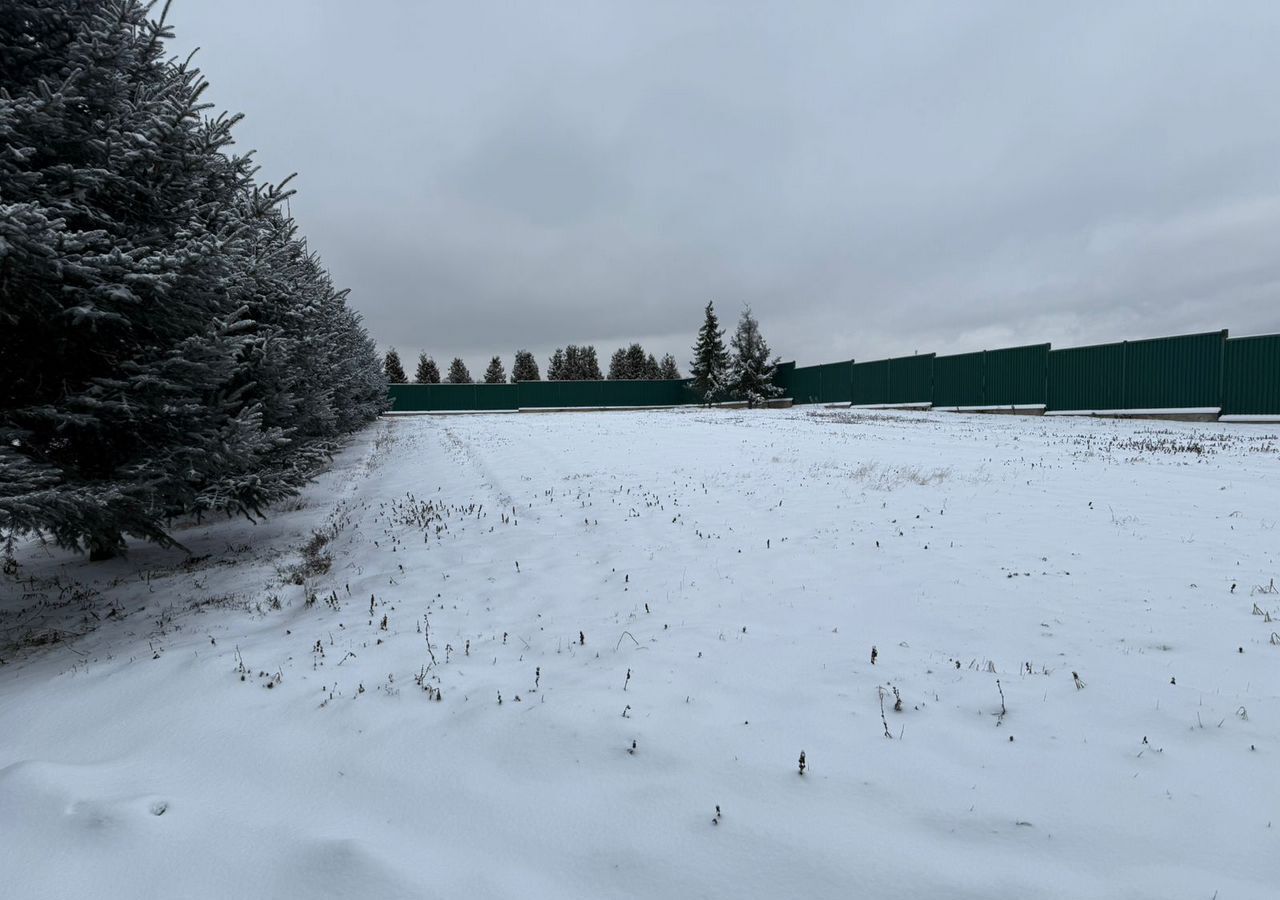 земля городской округ Богородский д Новые Псарьки 33 км, 46, Ногинск, Горьковское шоссе фото 10