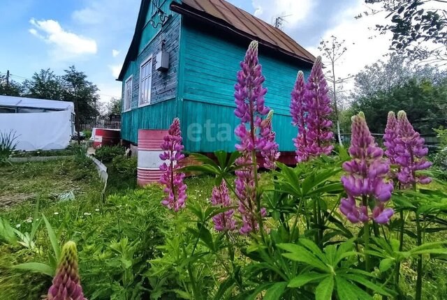 сад СНТ Вишневый Сад фото