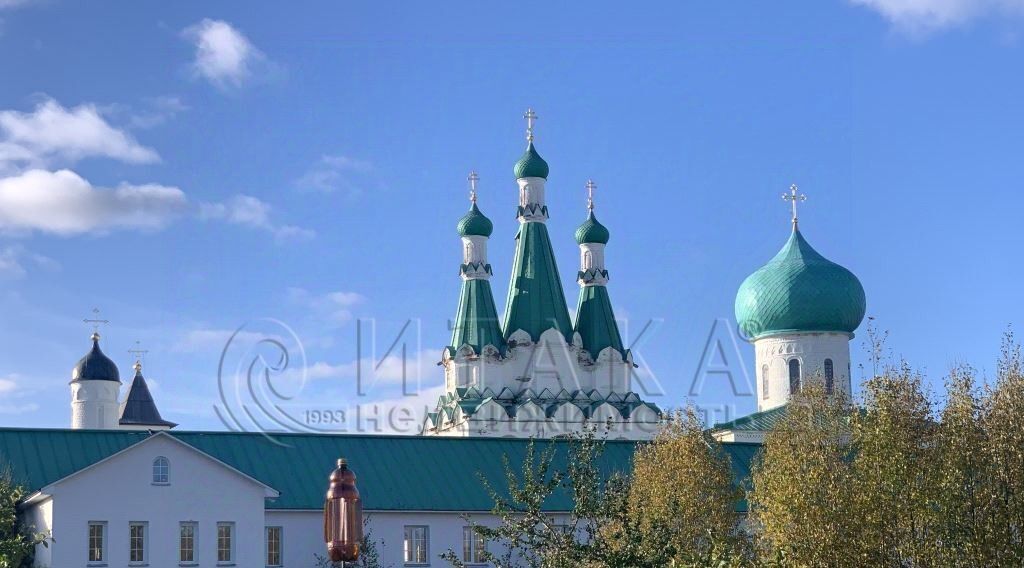 земля р-н Всеволожский д Старая Янегское с/пос, 9, Лодейнопольский район фото 1