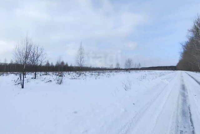 с Волынцево муниципальное образование фото