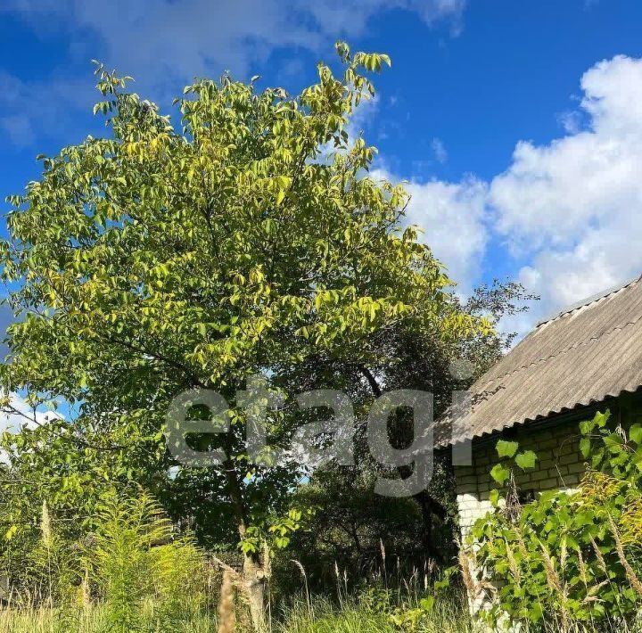 дом г Брянск р-н Фокинский садоводческое объединение, Черемушки фото 27