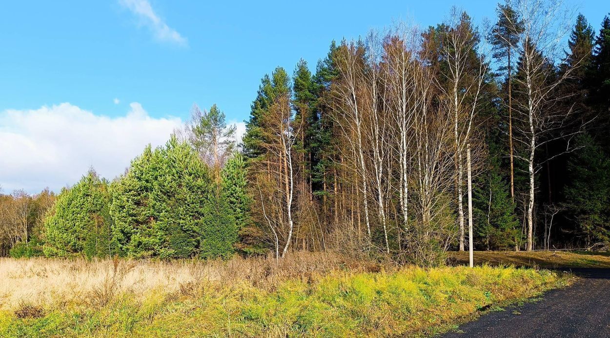 земля городской округ Клин рп Решетниково ул Лазурная фото 1