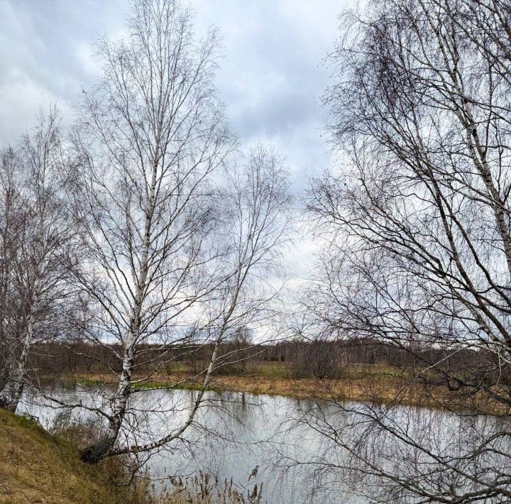 дом городской округ Павловский Посад Дубрава-4 кп, ул. Лунная фото 15