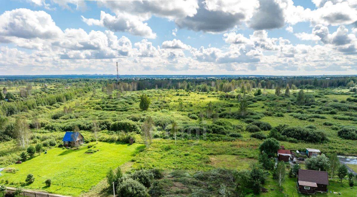 земля р-н Коченевский Лесник СНТ, ул. Сосновая фото 1