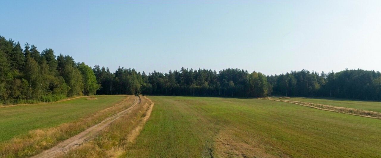 земля р-н Приозерский п Владимировка с пос, Парнас, Громовское фото 1