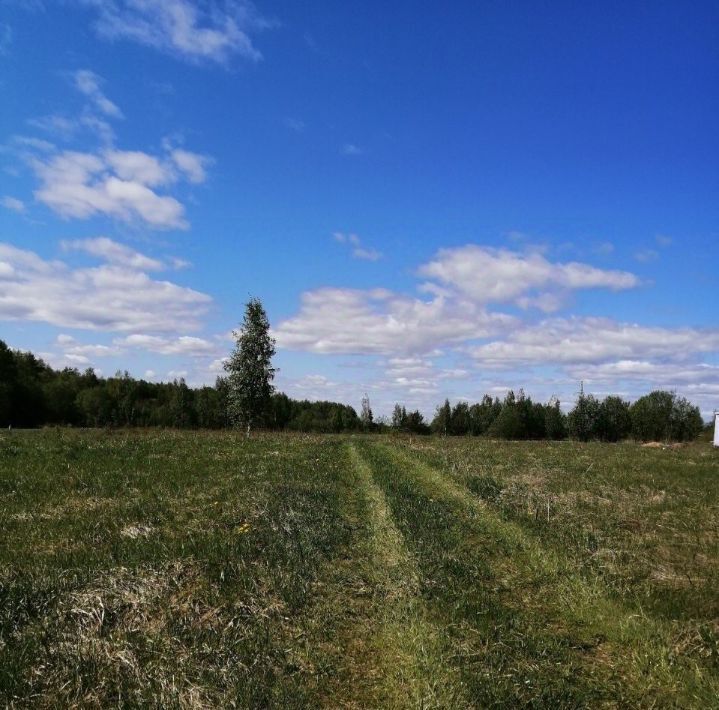 земля р-н Всеволожский массив Ириновка Рахьинское городское поселение, Ладожская фото 6