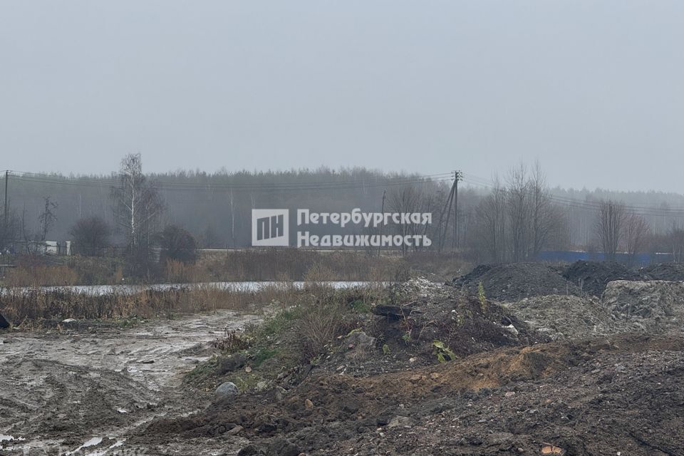 земля р-н Всеволожский городской пос. имени Свердлова, 2-й микрорайон улица, 25 фото 2