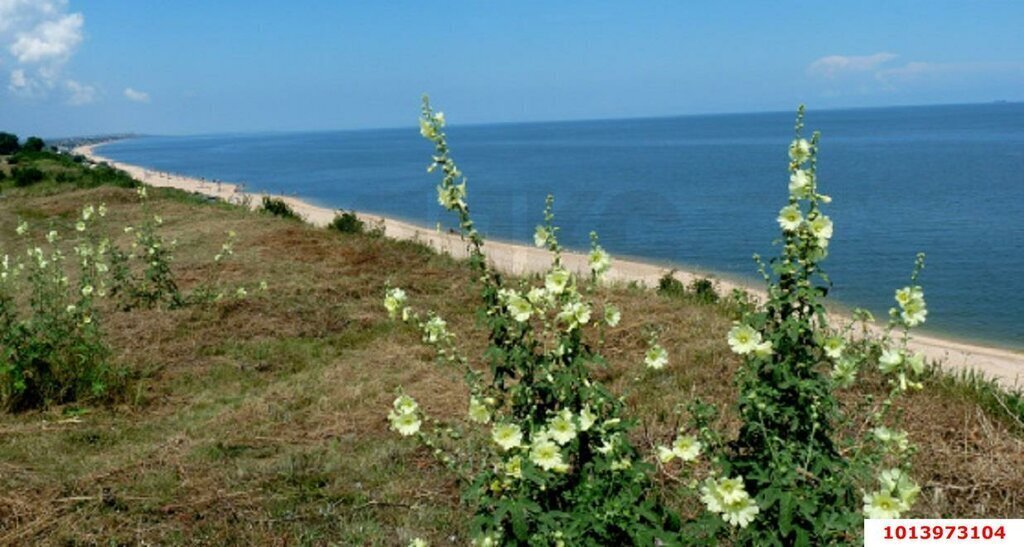 дом р-н Темрюкский п Кучугуры ул Приазовская 2 фото 1