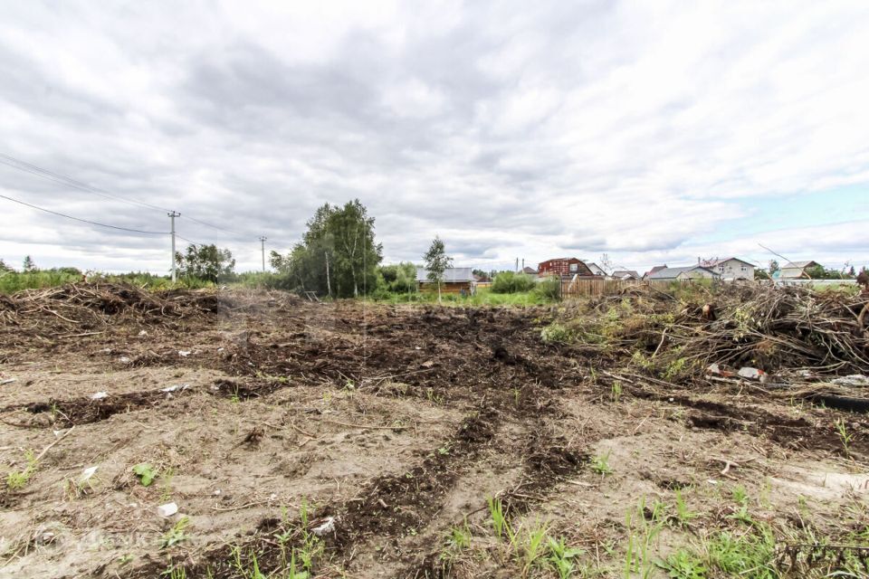 земля г Тюмень Тюмень городской округ, СО Липовый остров фото 2