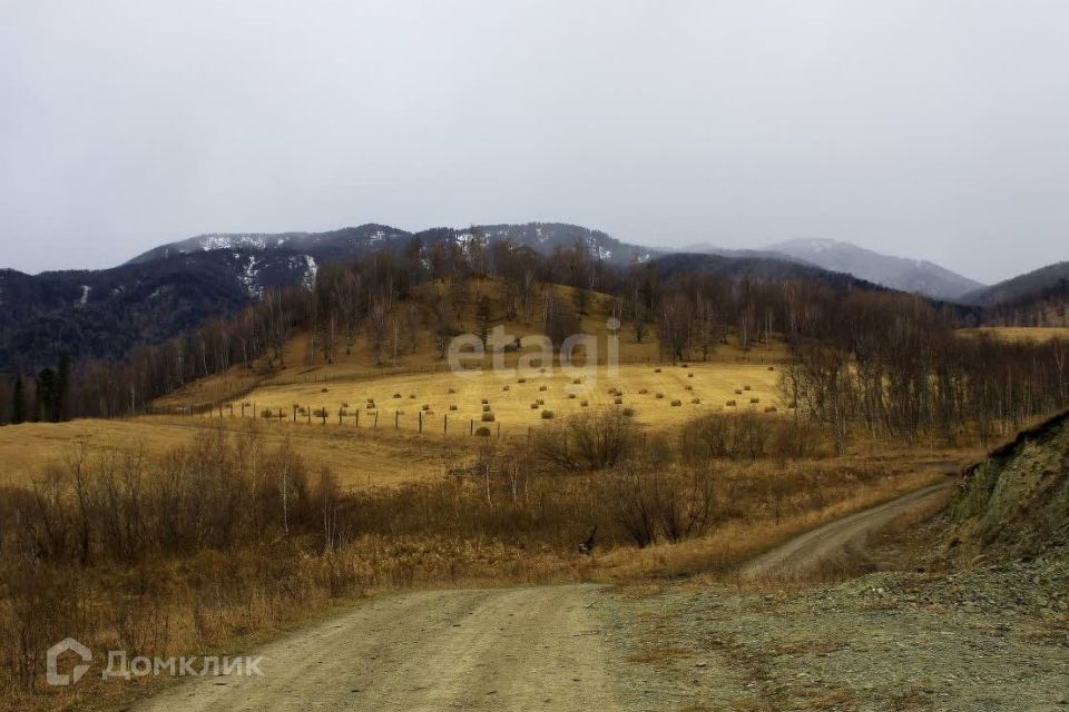 земля р-н Чемальский Анос фото 8