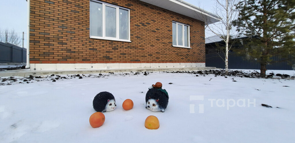 дом р-н Сосновский д Малиновка Торговая улица фото 1