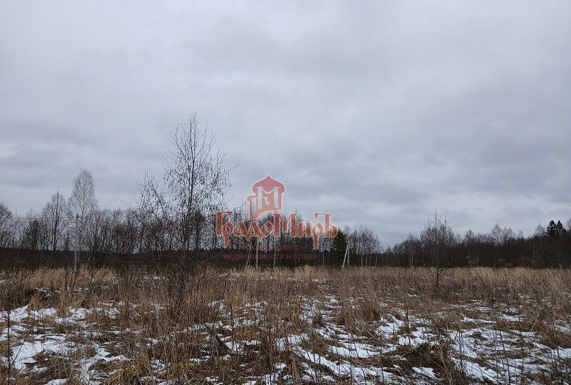 земля городской округ Талдомский 87 км, территориальное отделение Темповое, Дубна, Дмитровское шоссе фото 8